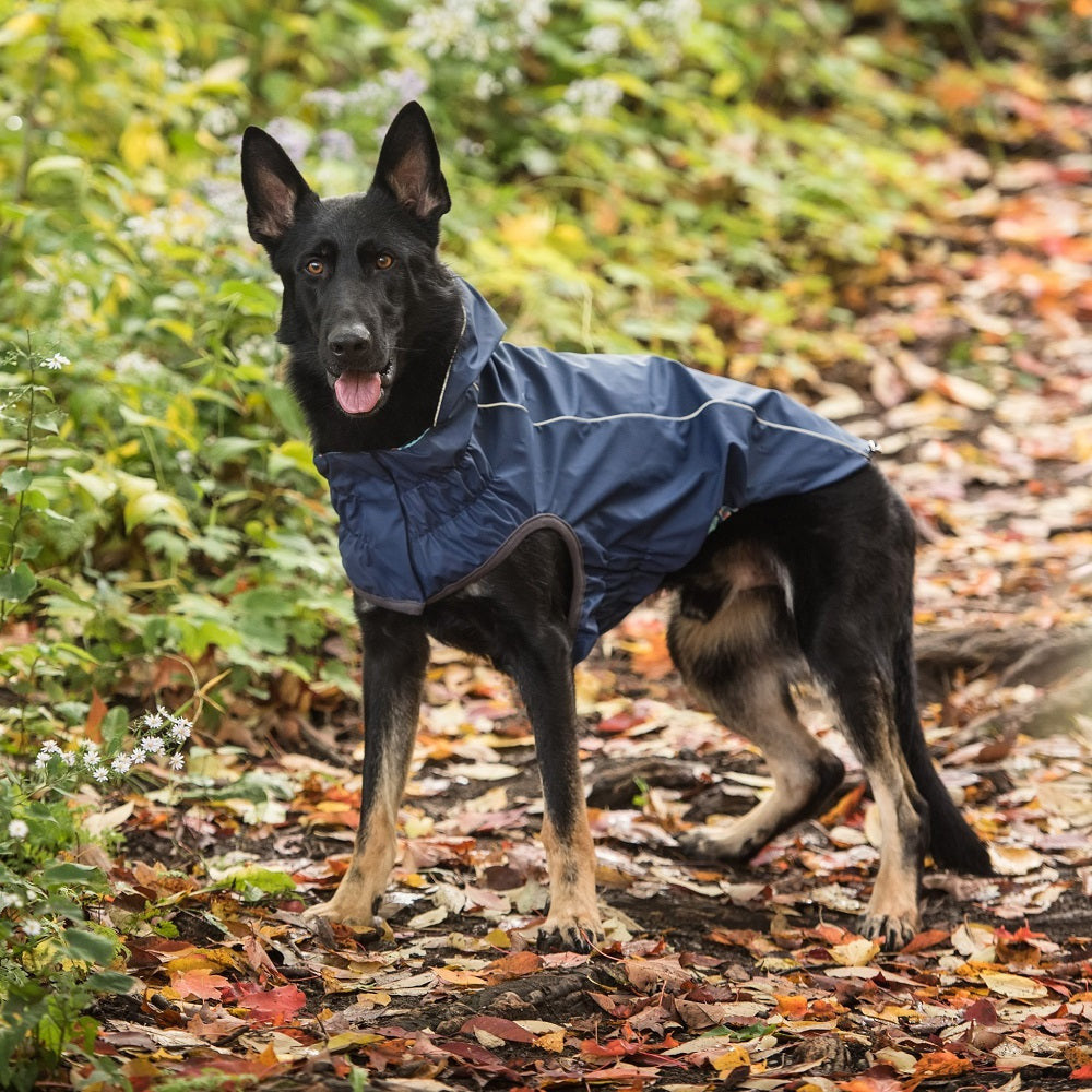 GF Pet Reversible Rain Jacket For Dogs