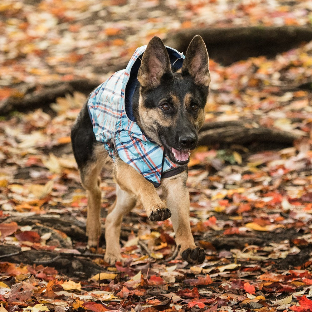 GF Pet Reversible Rain Jacket For Dogs