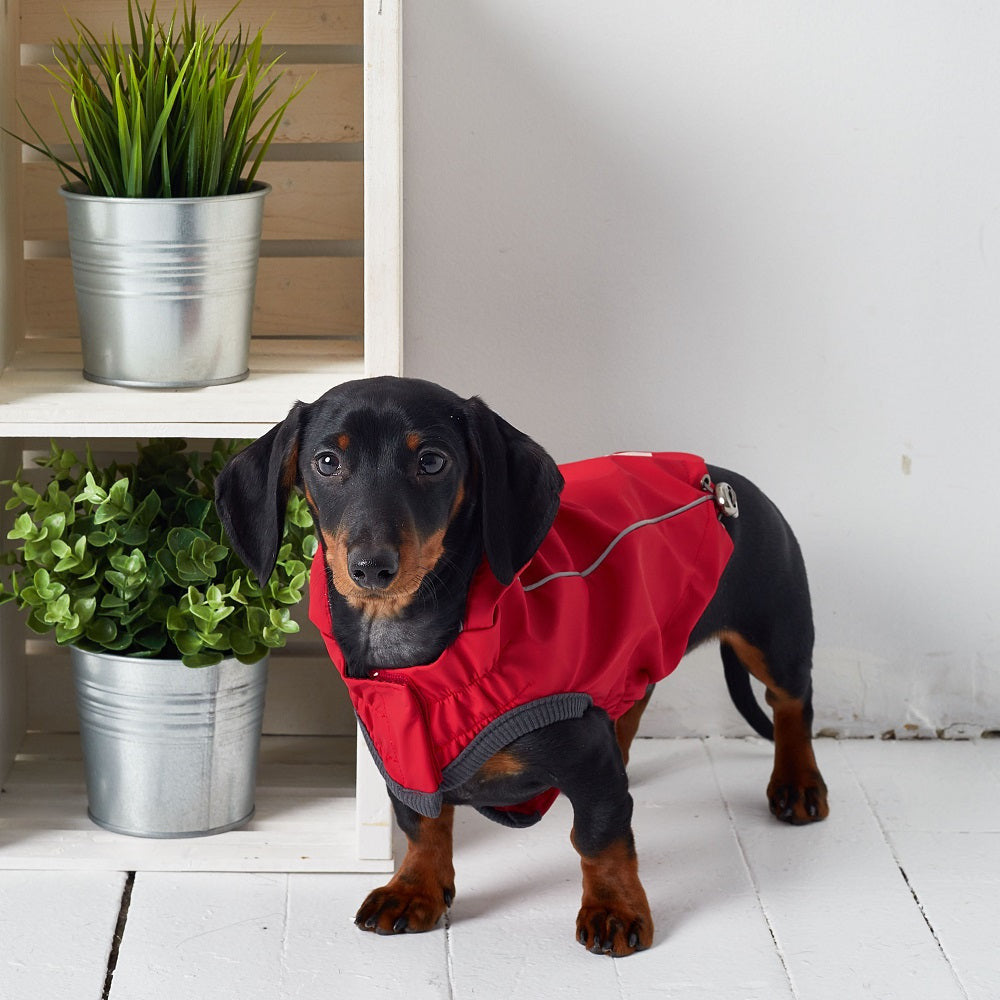 GF Pet Reversible Rain Jacket For Dogs