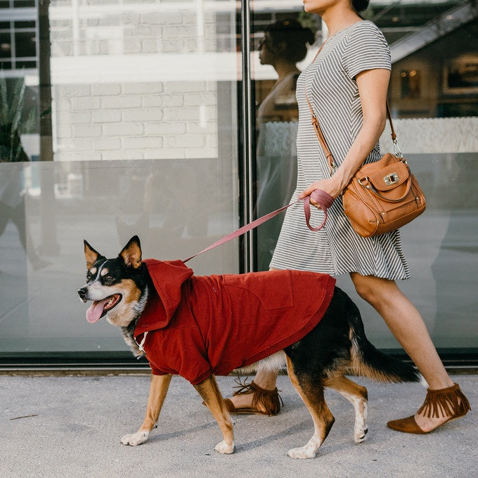 Classic Maroon Dog Hoodie