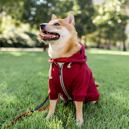 Classic Maroon Dog Hoodie