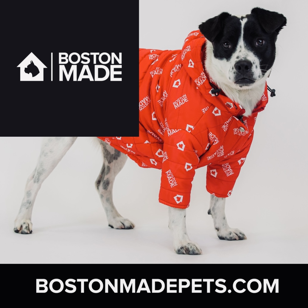 Boston Made Pets — apparel for dogs